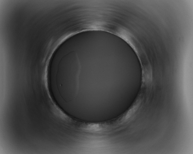 X0000089351098200706151057
