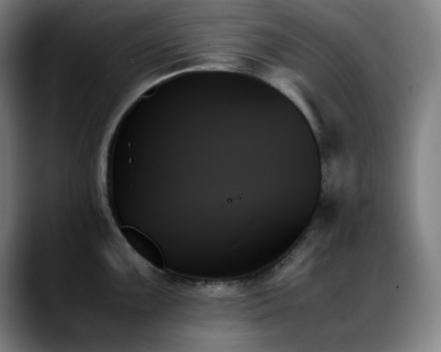 X0000089351099200706151057