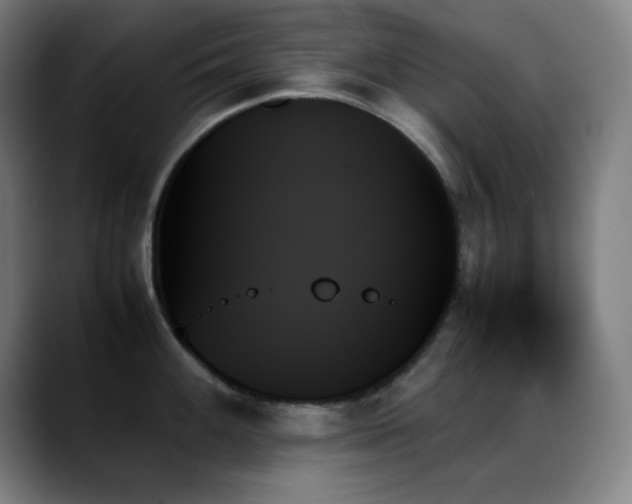 X0000089351100200706151057