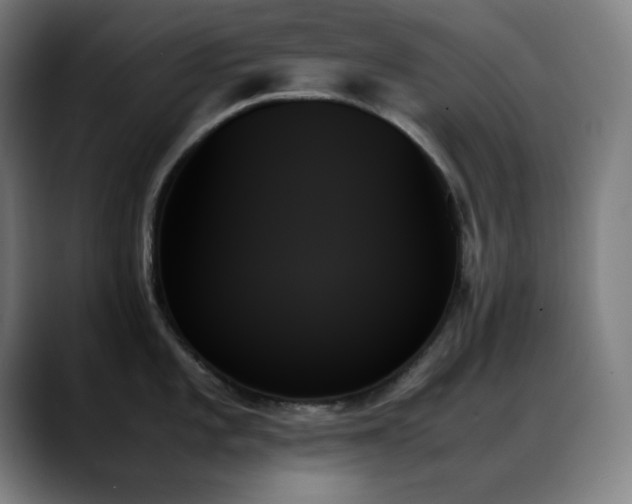 X0000089351101200706151057