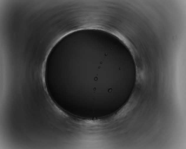 X0000089351102200706151057