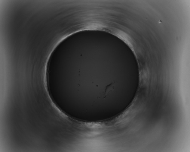X0000089351103200706151057