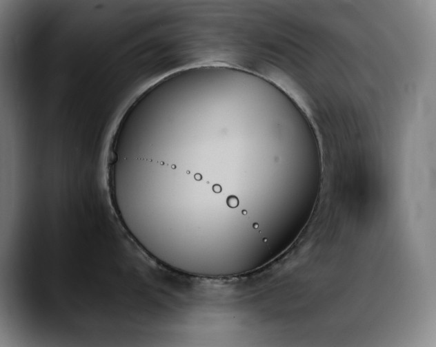 X0000089351104200706151057