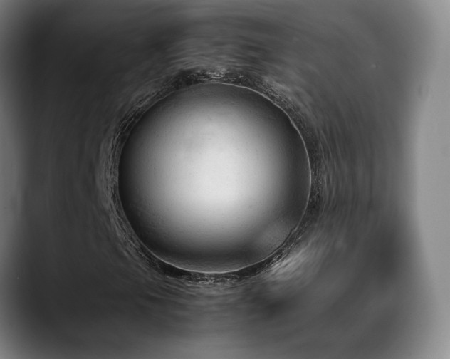 X0000089351105200706151056