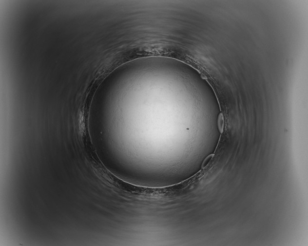 X0000089351106200706151056