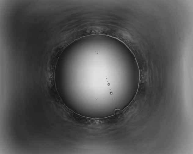 X0000089351109200706151056