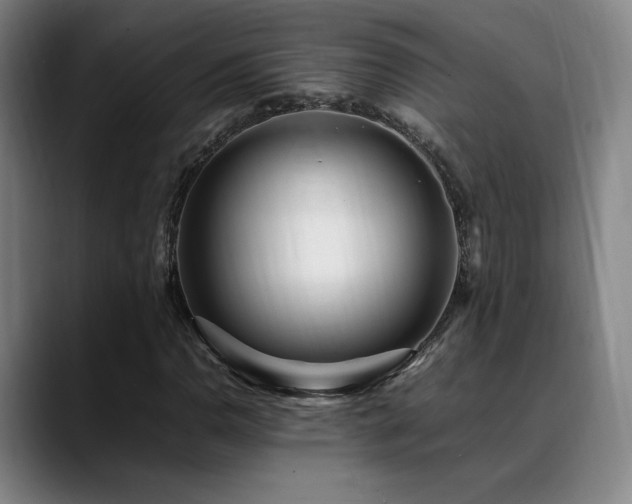 X0000089351110200706151056