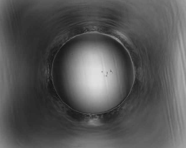X0000089351111200706151056