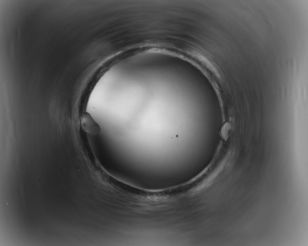 X0000089351117200706151056