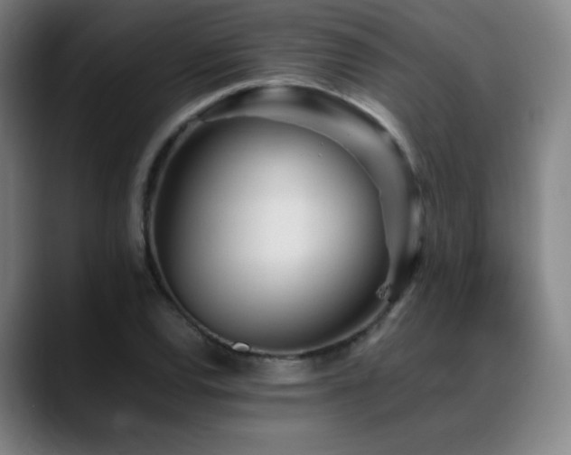 X0000089351120200706151056