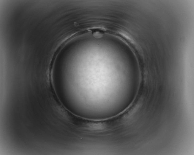 X0000089351121200706151056
