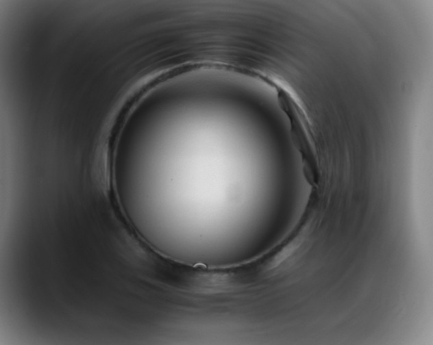 X0000089351123200706151056