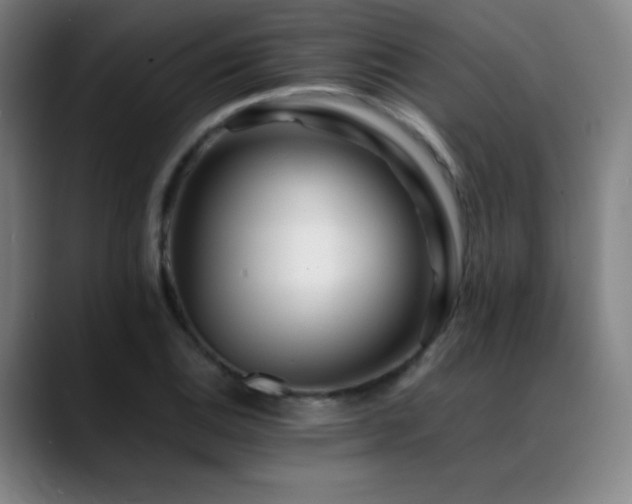 X0000089351124200706151056