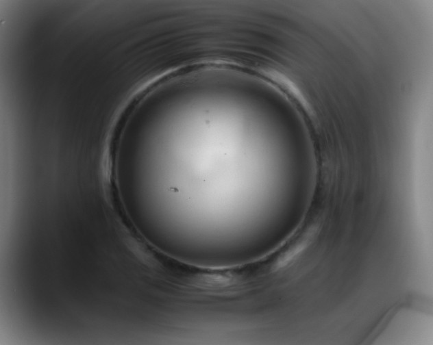 X0000089351125200706151056