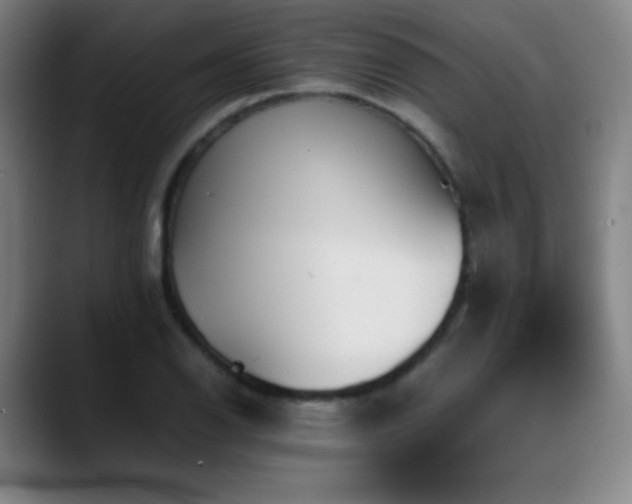 X0000089351126200706151056