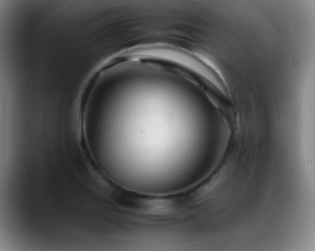 X0000089351127200706151056