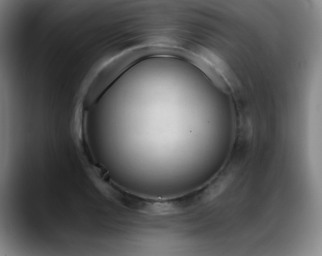 X0000089351128200706151056