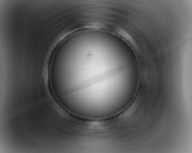X0000089351130200706151056