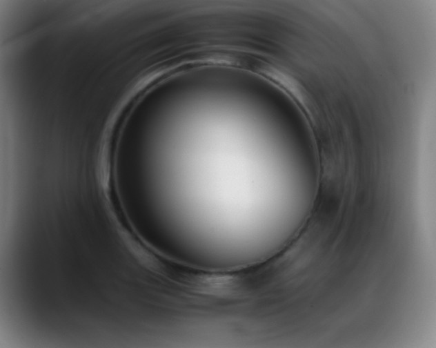 X0000089351131200706151056