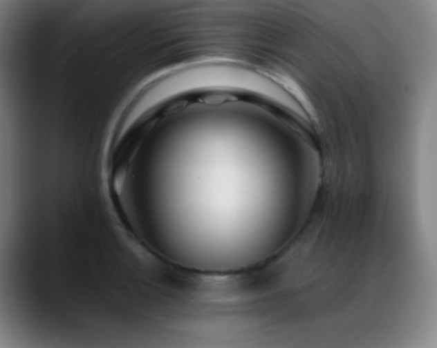 X0000089351132200706151056
