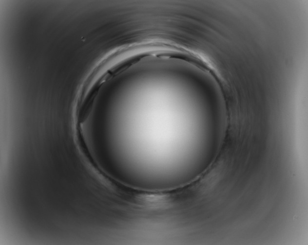 X0000089351134200706151056