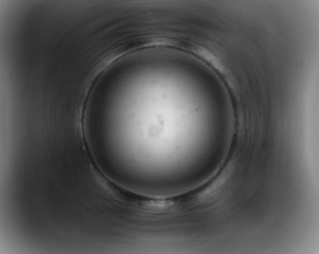 X0000089351137200706151056
