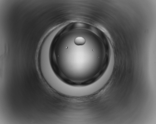 X0000089351138200706151056