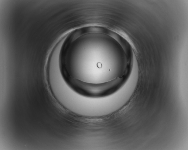X0000089351140200706151056