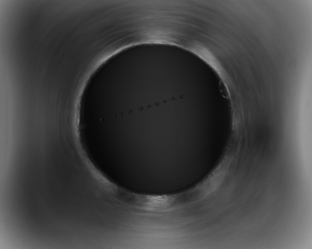 X0000089351144200706151057