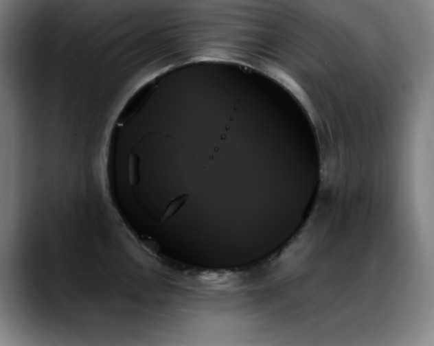 X0000089351146200706151057