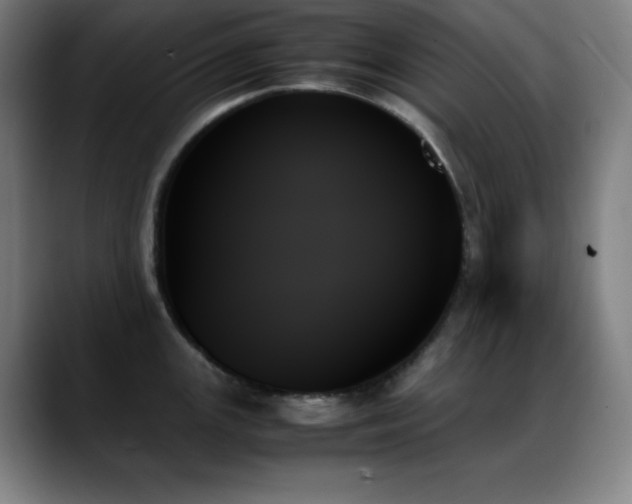 X0000089351147200706151057