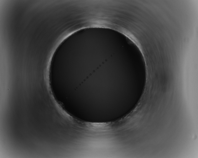X0000089351152200706151057
