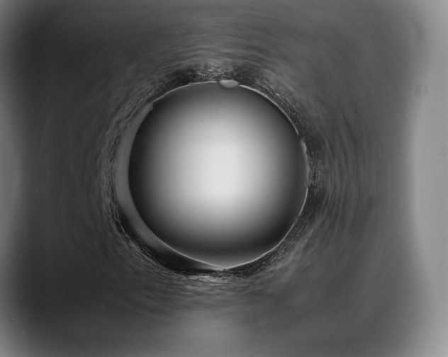 X0000089351153200706151056