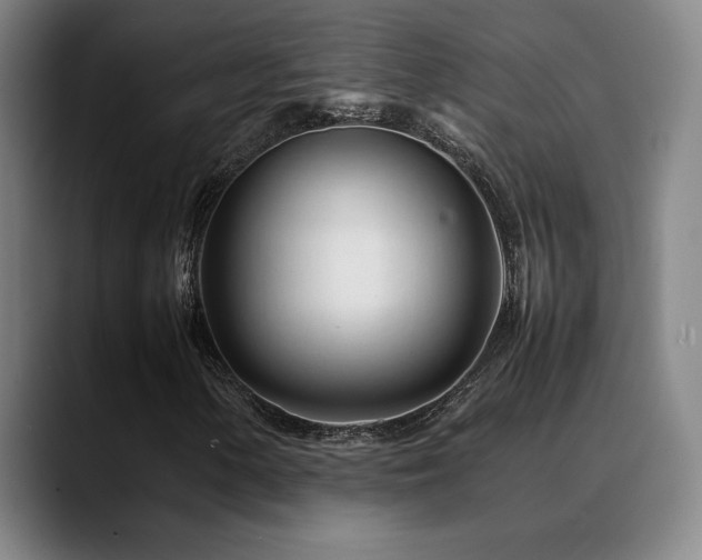 X0000089351154200706151056