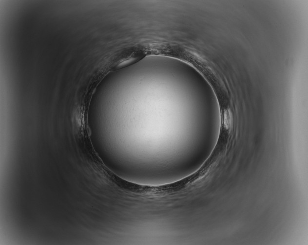 X0000089351155200706151056