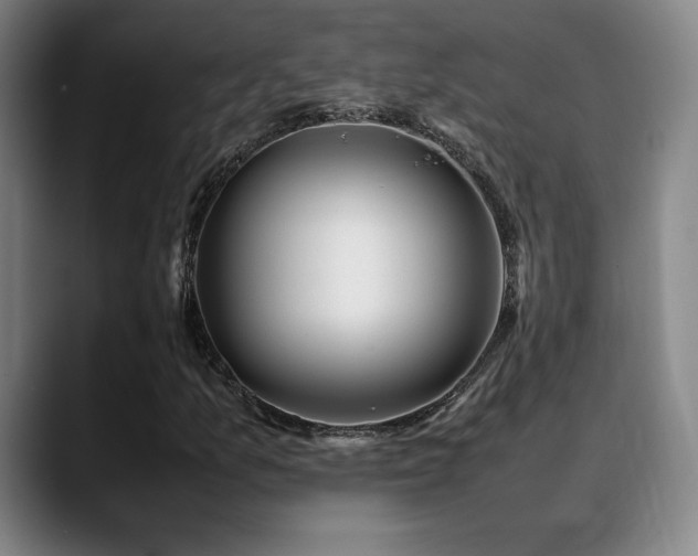 X0000089351157200706151056
