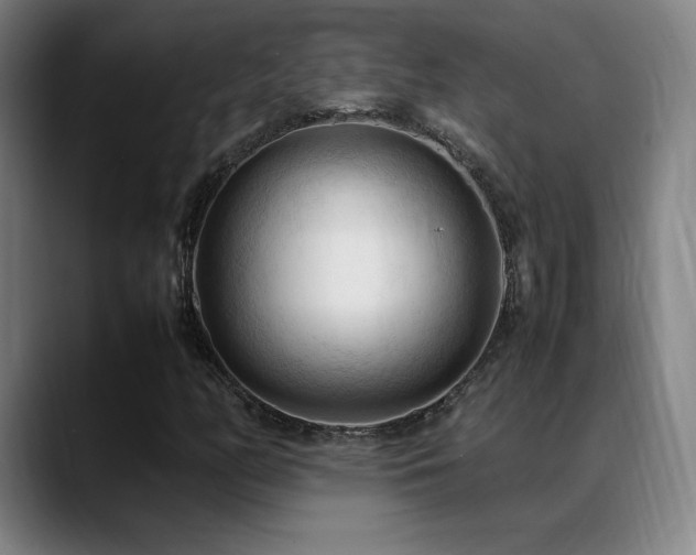 X0000089351158200706151056
