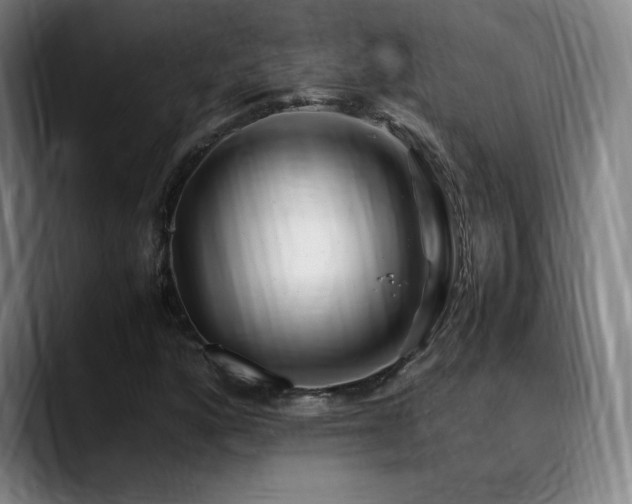 X0000089351160200706151056