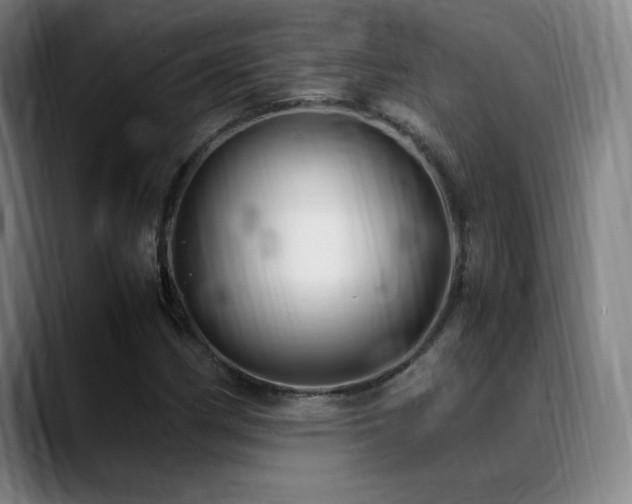 X0000089351162200706151056