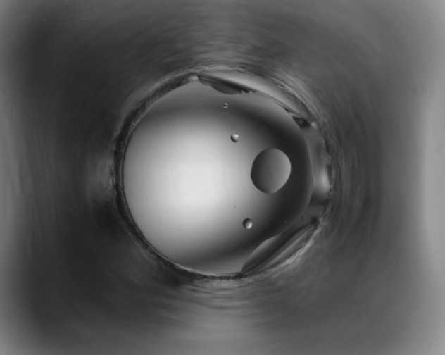 X0000089351164200706151056
