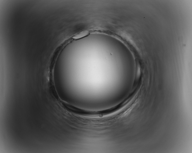 X0000089351165200706151056