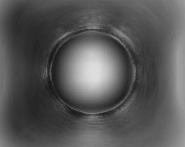 X0000089351166200706151056