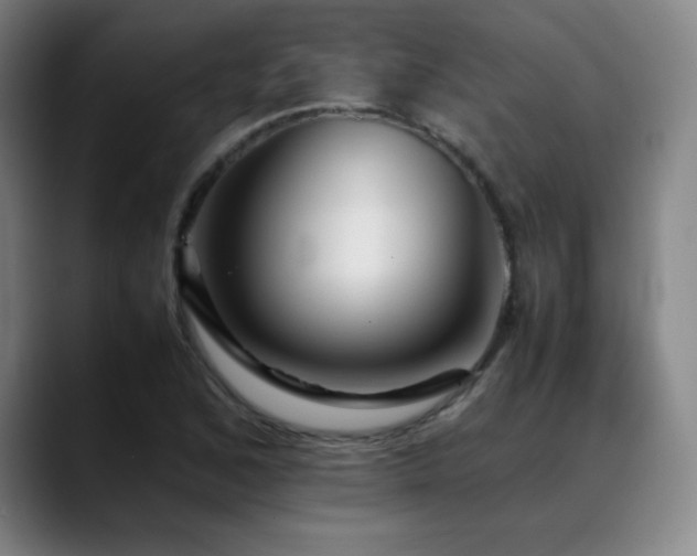 X0000089351168200706151056