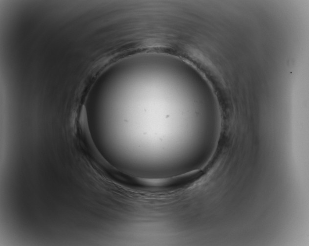 X0000089351169200706151056