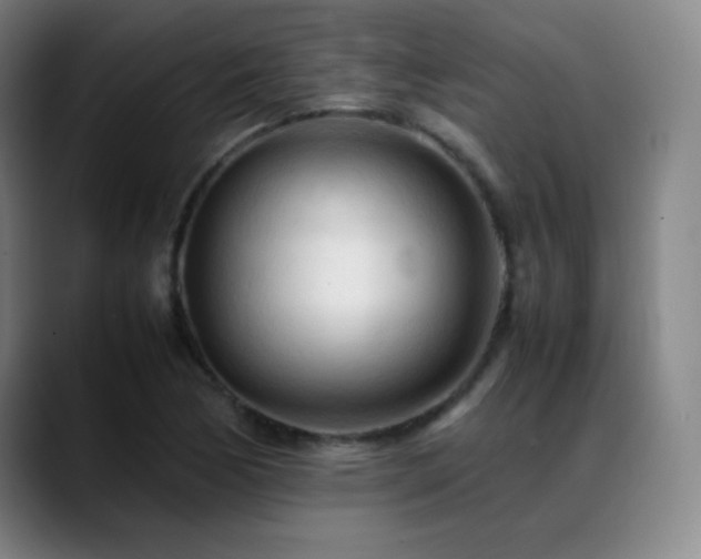 X0000089351170200706151056