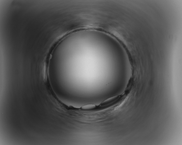 X0000089351171200706151056