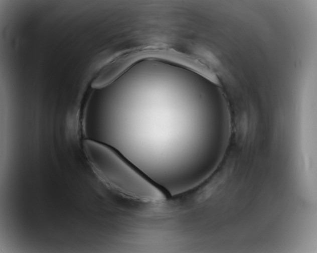 X0000089351172200706151056