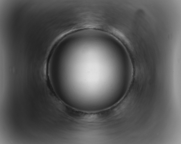 X0000089351174200706151056