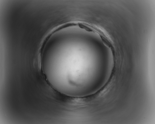 X0000089351175200706151056