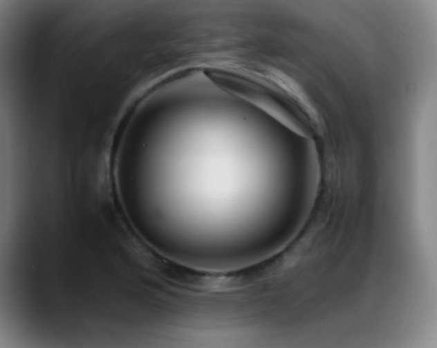 X0000089351176200706151056